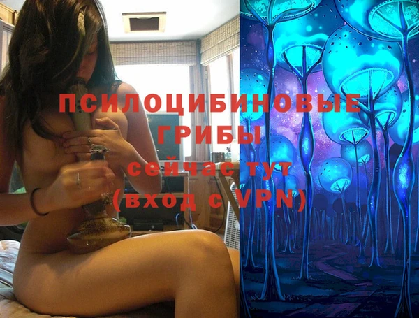 метадон Карпинск