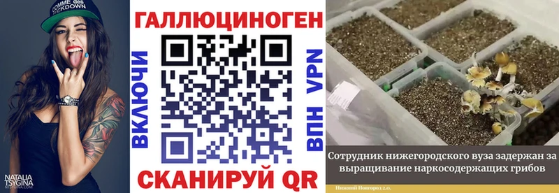 Купить  Жирновск  Галлюциногенные грибы мухоморы 